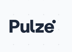 Pulze Logo